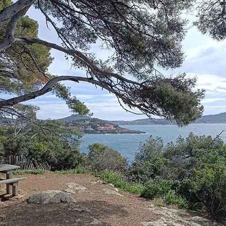 Beautiful Dwelling Close To The Sea Διαμέρισμα Sanary-sur-Mer